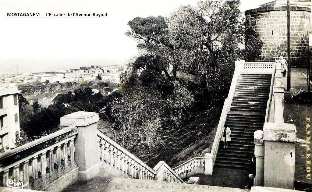 MOSTAGANEM - AVENUE RAYNAL - ESCALIER.jpg